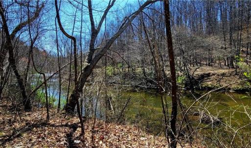 Photo #41 of 3063 Hart, Lawsonville, NC 55.0 acres