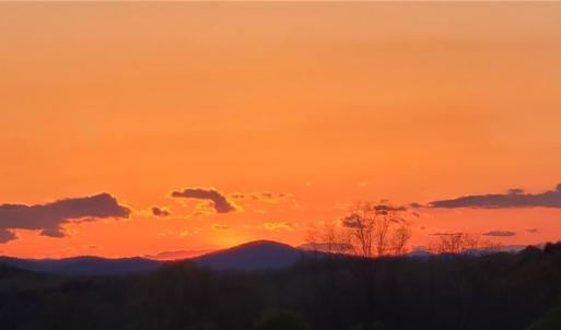 Photo #45 of 3063 Hart, Lawsonville, NC 55.0 acres