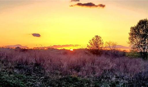 Photo #48 of 3063 Hart, Lawsonville, NC 55.0 acres