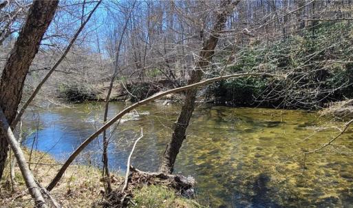Photo #44 of 3063 Hart, Lawsonville, NC 55.0 acres