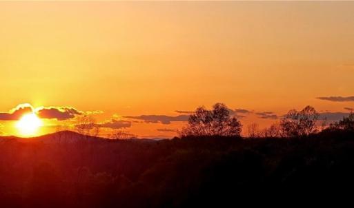 Photo #8 of 3063 Hart, Lawsonville, NC 55.0 acres