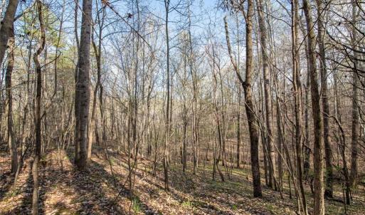 Photo #6 of Lot 38 Lake Shore, Yanceyville, NC 4.6 acres