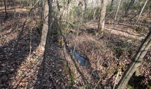 Photo #11 of Lot 38 Lake Shore, Yanceyville, NC 4.6 acres