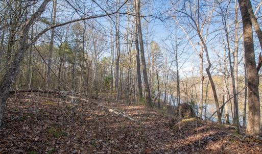 Photo #7 of Lot 38 Lake Shore, Yanceyville, NC 4.6 acres