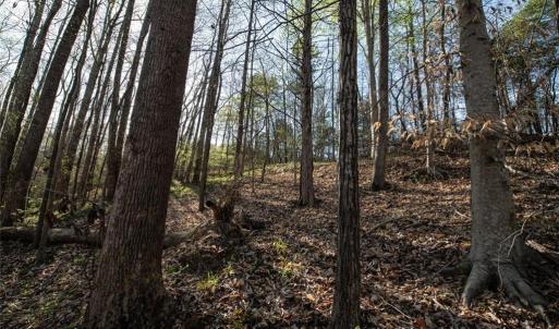 Photo #3 of Lot 38 Lake Shore, Yanceyville, NC 4.6 acres