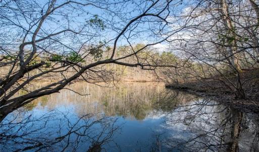 Photo #9 of Lot 38 Lake Shore, Yanceyville, NC 4.6 acres