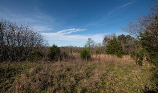 Photo #13 of Lot 38 Lake Shore, Yanceyville, NC 4.6 acres