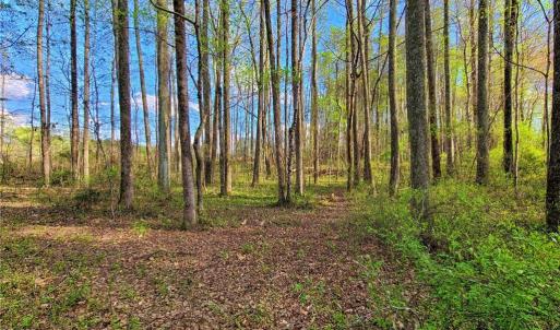 Photo #2 of 5095 Donna Marie, Walkertown, NC 0.9 acres
