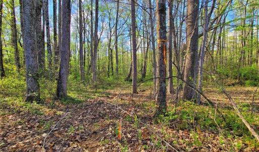 Photo #3 of 5095 Donna Marie, Walkertown, NC 0.9 acres