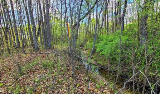 Photo #4 of 5095 Donna Marie, Walkertown, NC 0.9 acres