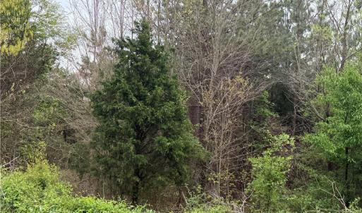 Photo #2 of 8485 Old Salisbury, Linwood, NC 8.8 acres