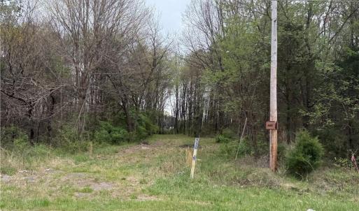 Photo #7 of 8485 Old Salisbury, Linwood, NC 8.8 acres