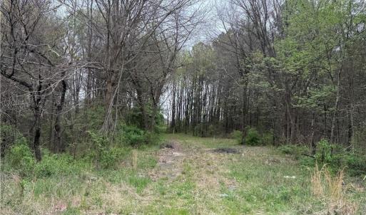 Photo #5 of 8485 Old Salisbury, Linwood, NC 8.8 acres