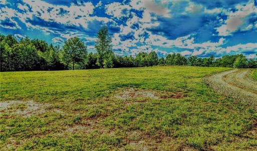Photo #12 of 263 Lake Meadows, Reidsville, NC 5.3 acres