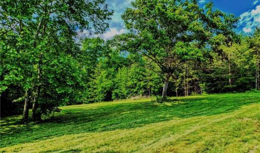 Photo #7 of 263 Lake Meadows, Reidsville, NC 5.3 acres