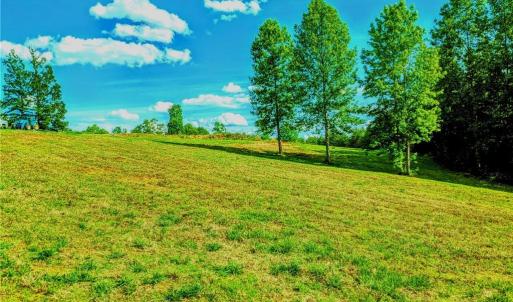 Photo #10 of 263 Lake Meadows, Reidsville, NC 5.3 acres