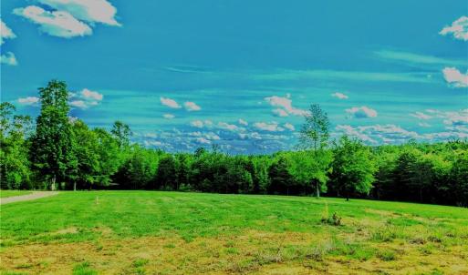 Photo #11 of 263 Lake Meadows, Reidsville, NC 5.3 acres