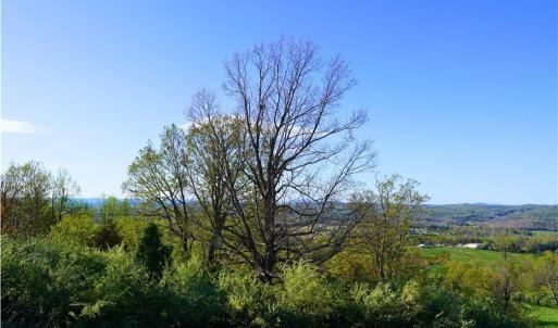 Photo #17 of 728 Indian, Henry, VA 19.8 acres