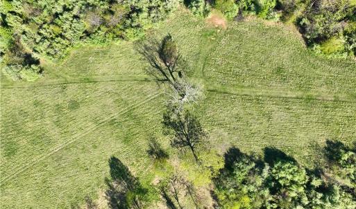 Photo #22 of 728 Indian, Henry, VA 19.8 acres