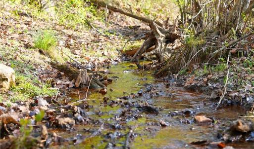 Photo #3 of 728 Indian, Henry, VA 19.8 acres