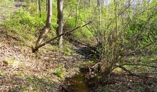 Photo #36 of 728 Indian, Henry, VA 19.8 acres
