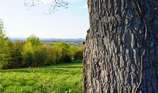Photo #5 of 728 Indian, Henry, VA 19.8 acres