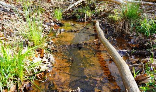Photo #30 of 728 Indian, Henry, VA 19.8 acres