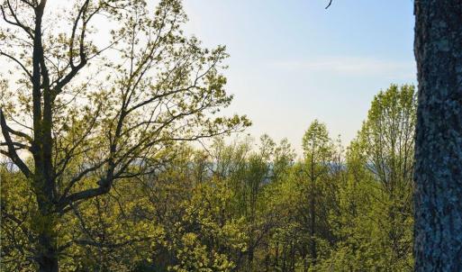 Photo #38 of 728 Indian, Henry, VA 19.8 acres