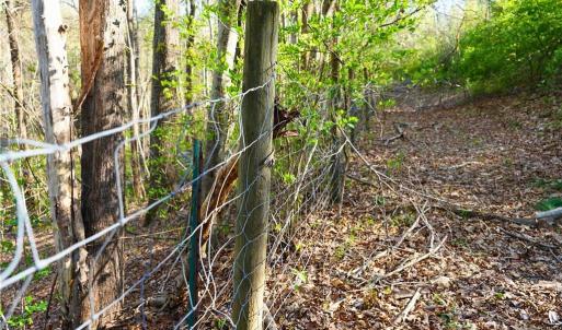 Photo #45 of 728 Indian, Henry, VA 19.8 acres
