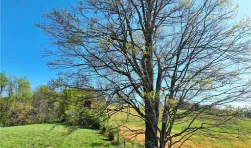Photo #15 of 728 Indian, Henry, VA 19.8 acres