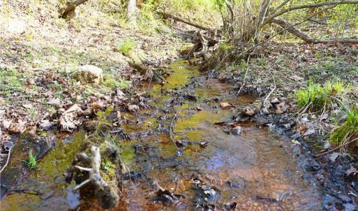 Photo #19 of 728 Indian, Henry, VA 19.8 acres