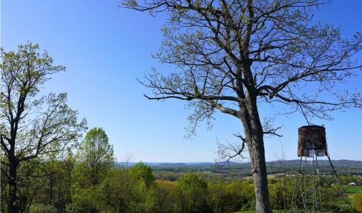 Photo #4 of 728 Indian, Henry, VA 19.8 acres