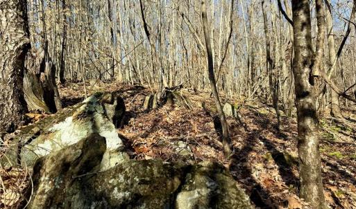 Photo #6 of 4056 Rolling Hill, Tobaccoville, NC 2.8 acres