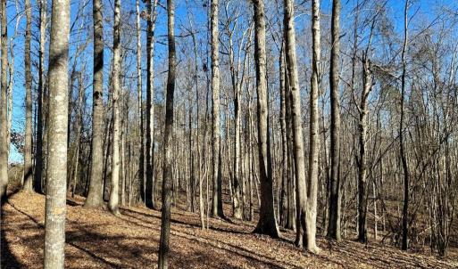 Photo #13 of 4056 Rolling Hill, Tobaccoville, NC 2.8 acres