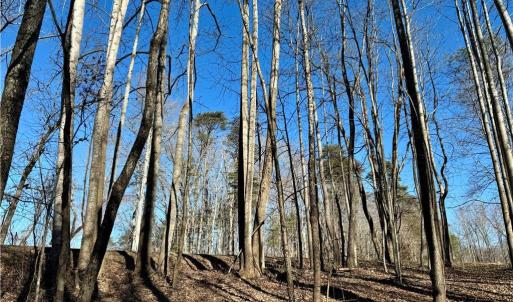 Photo #16 of 4056 Rolling Hill, Tobaccoville, NC 2.8 acres