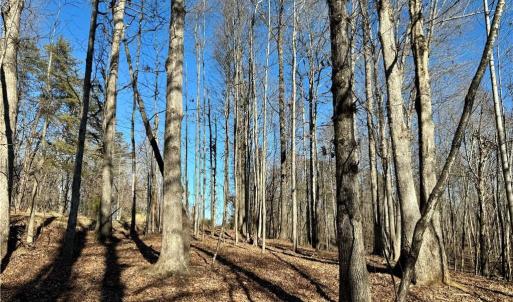 Photo #12 of 4056 Rolling Hill, Tobaccoville, NC 2.8 acres