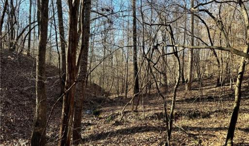 Photo #7 of 4056 Rolling Hill, Tobaccoville, NC 2.8 acres