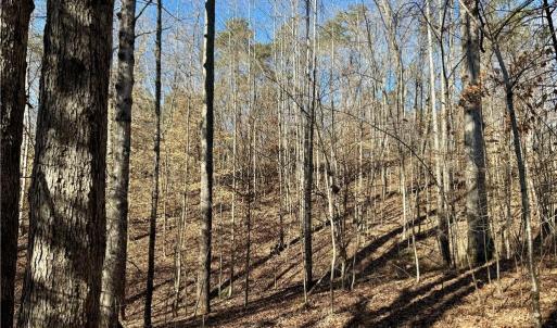Photo #9 of 4056 Rolling Hill, Tobaccoville, NC 2.8 acres