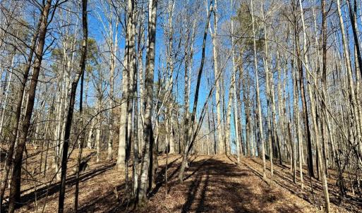 Photo #10 of 4056 Rolling Hill, Tobaccoville, NC 2.8 acres