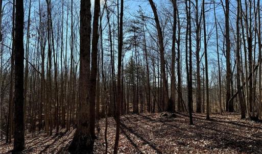 Photo #14 of 4056 Rolling Hill, Tobaccoville, NC 2.8 acres