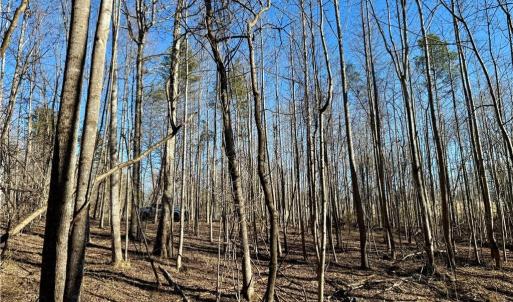 Photo #15 of 4056 Rolling Hill, Tobaccoville, NC 2.8 acres