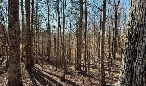 Photo #11 of 4056 Rolling Hill, Tobaccoville, NC 2.8 acres