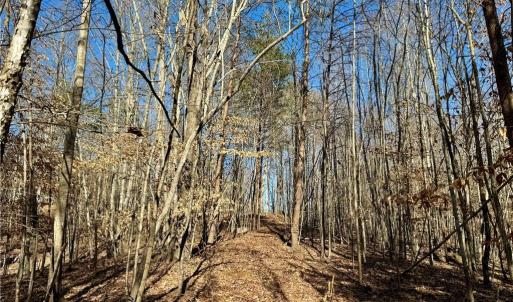 Photo #8 of 4056 Rolling Hill, Tobaccoville, NC 2.8 acres