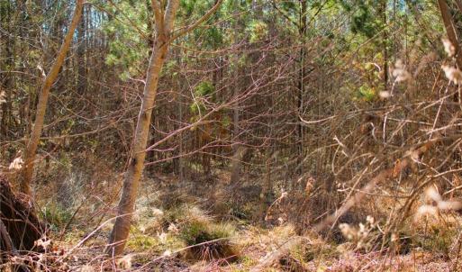 Photo #12 of Twinwood, Trinity, NC 1.0 acres