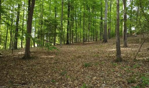 Land lays level enough for a single story home or with a basement.