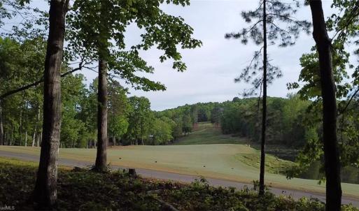 Mature trees offer shade but open enough to enjoy the sunrise over the lake.