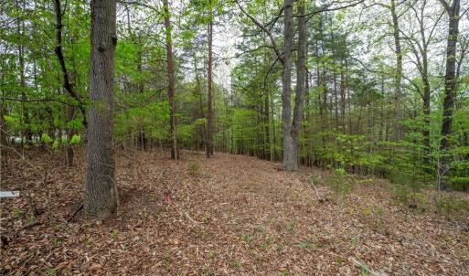 Photo #6 of 8397 Tuscany, Lewisville, NC 3.8 acres