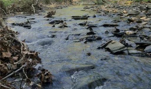 Photo #13 of 8397 Tuscany, Lewisville, NC 3.8 acres