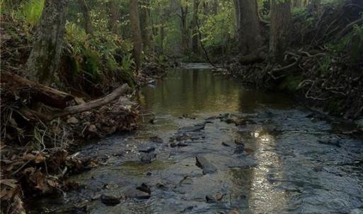 Photo #12 of 8397 Tuscany, Lewisville, NC 3.8 acres