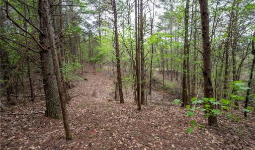 Photo #7 of 8397 Tuscany, Lewisville, NC 3.8 acres
